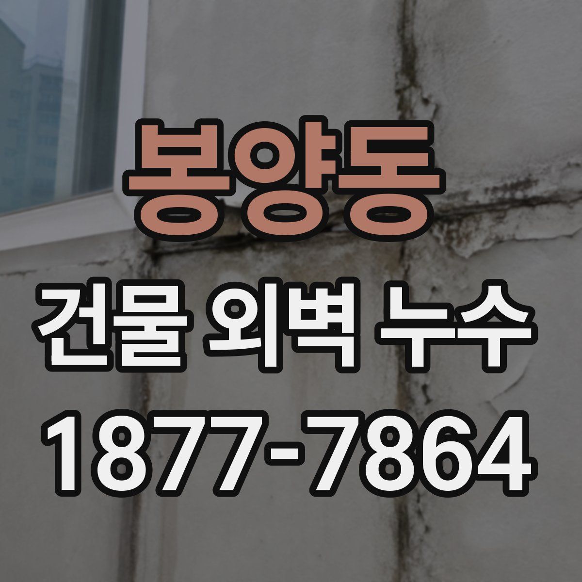 봉양동 건물 외벽 누수