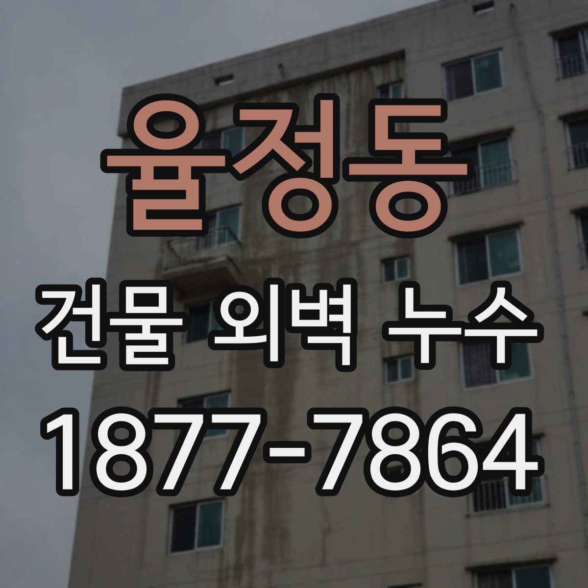 율정동 건물 외벽 누수 보수 전 현장 사진이 중요한 이유