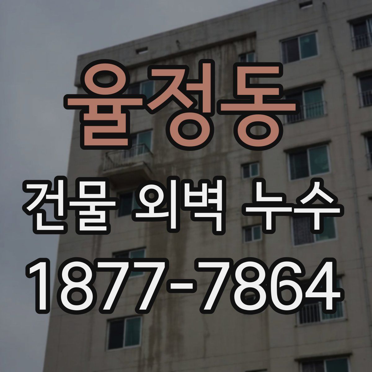 율정동 건물 외벽 누수