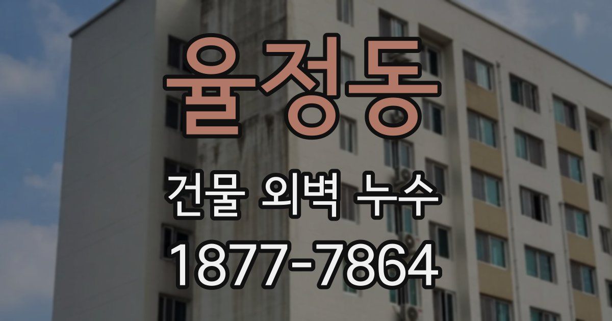 율정동 건물 외벽 누수