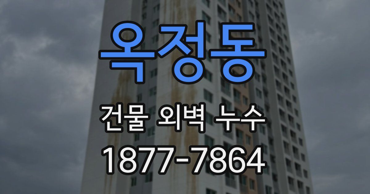 옥정동 건물 외벽 누수