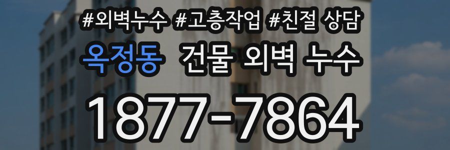 옥정동 건물 외벽 누수