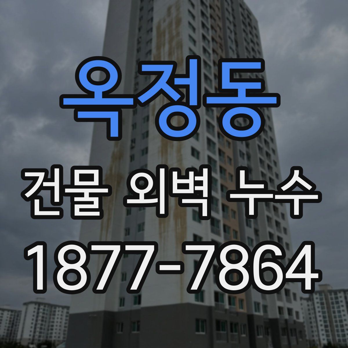 옥정동 건물 외벽 누수