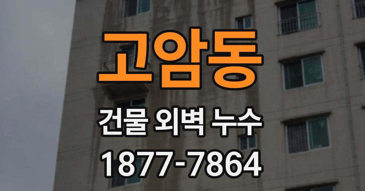 고암동 건물 외벽 누수