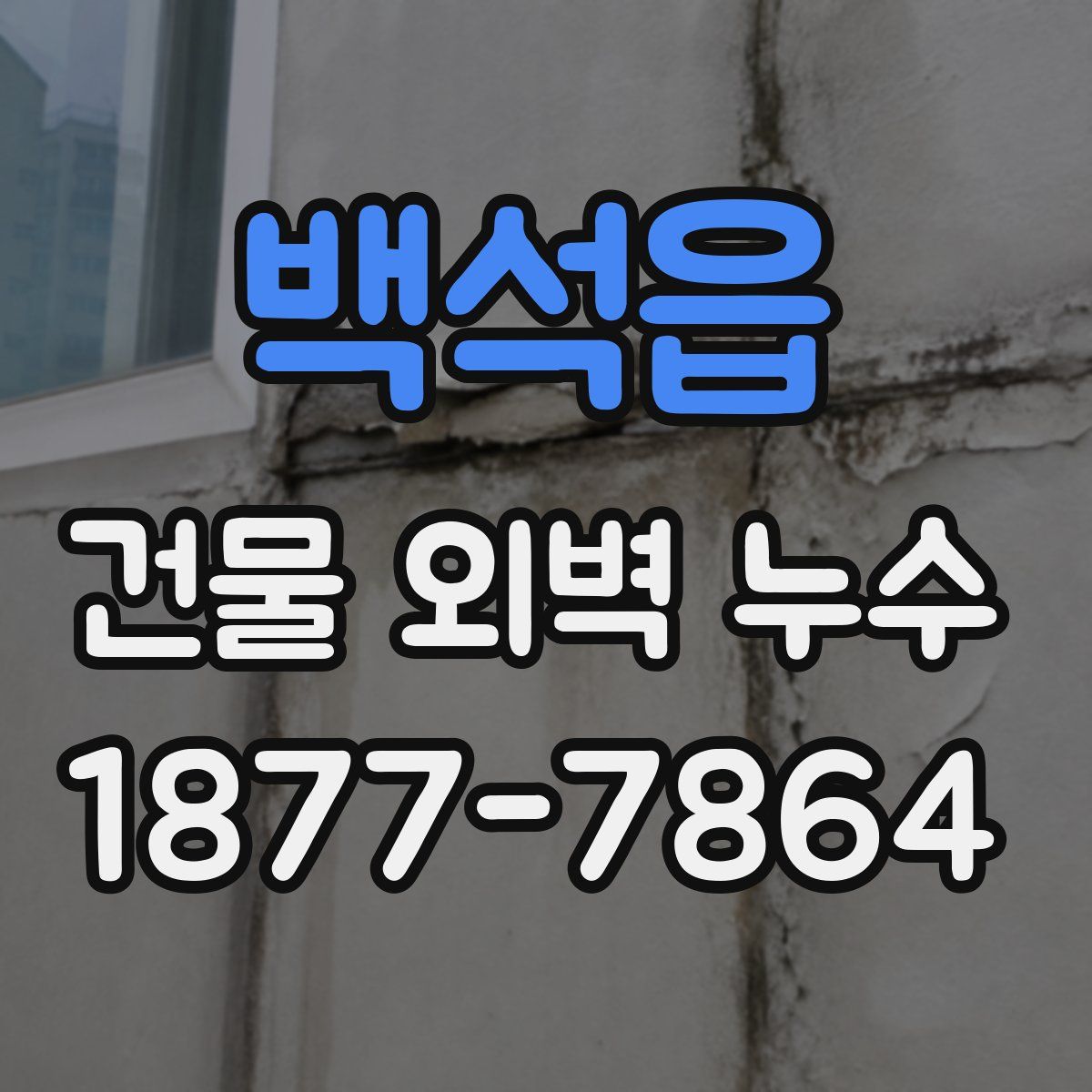 백석읍 건물 외벽 누수