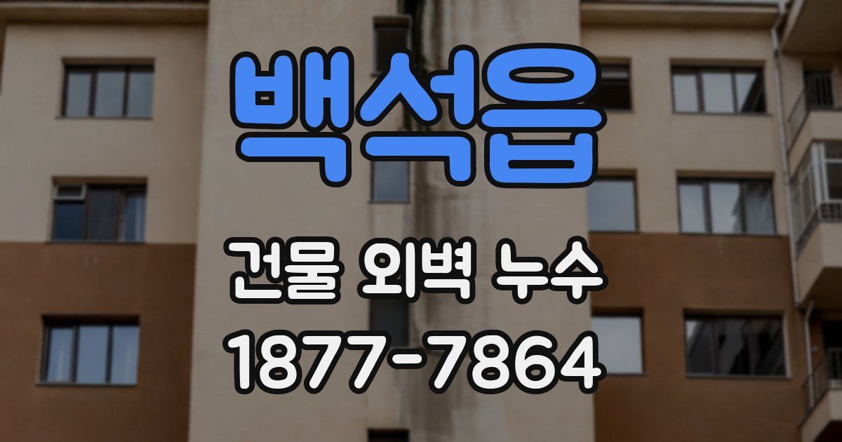 백석읍 건물 외벽 누수