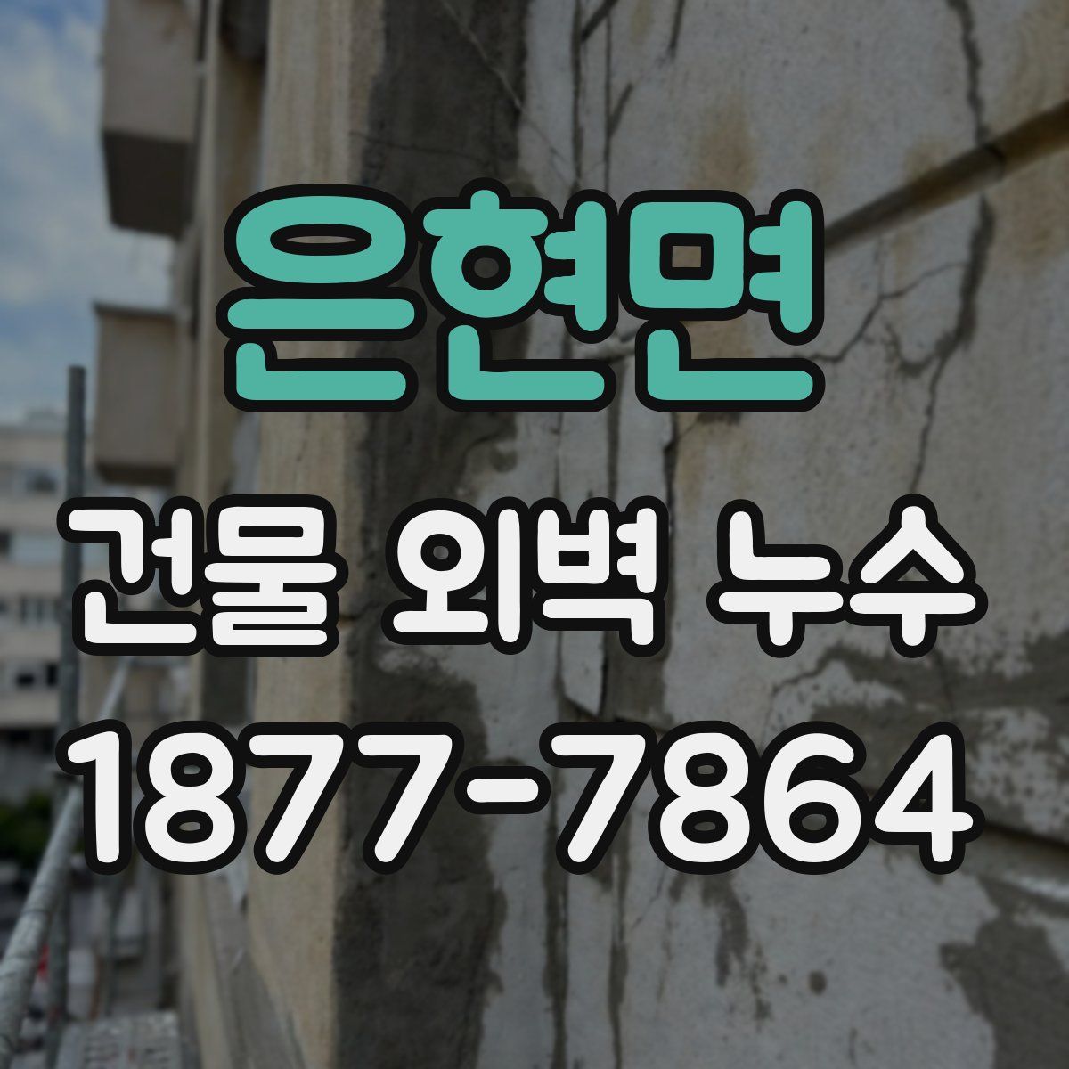 은현면 건물 외벽 누수