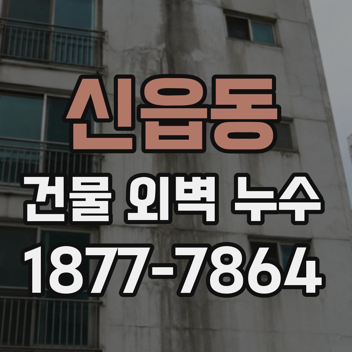 신읍동 건물 외벽 누수