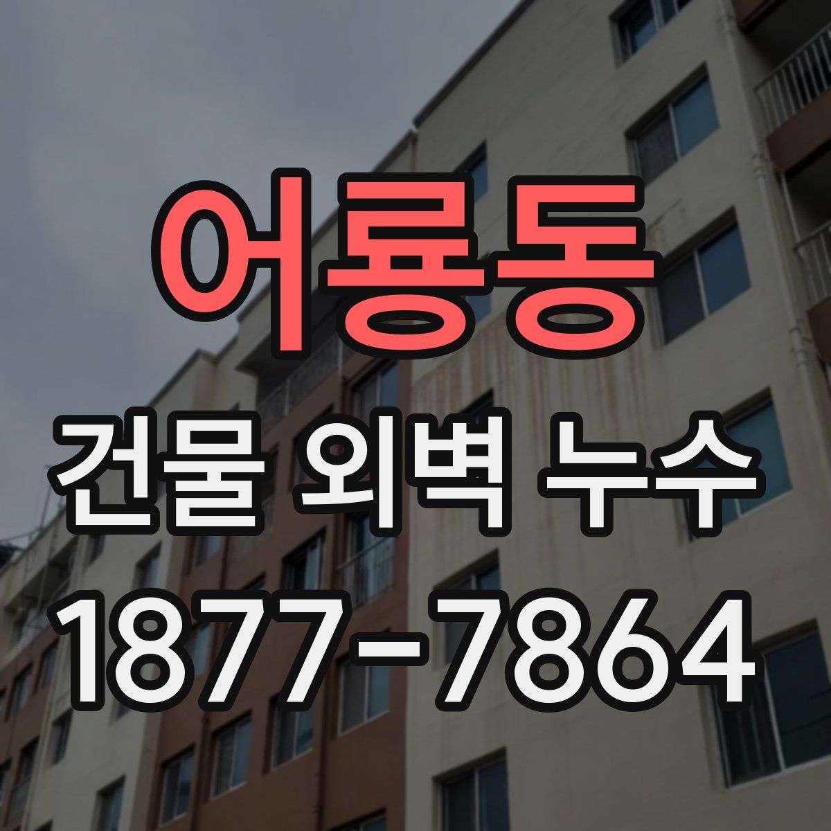 어룡동 건물 외벽 누수
