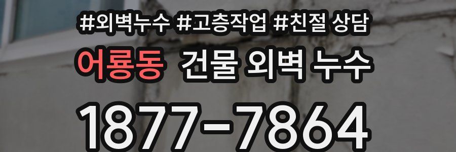 어룡동 건물 외벽 누수