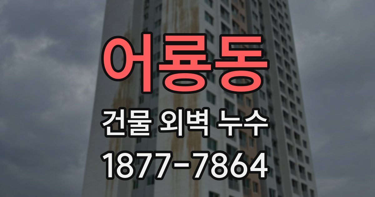 어룡동 건물 외벽 누수