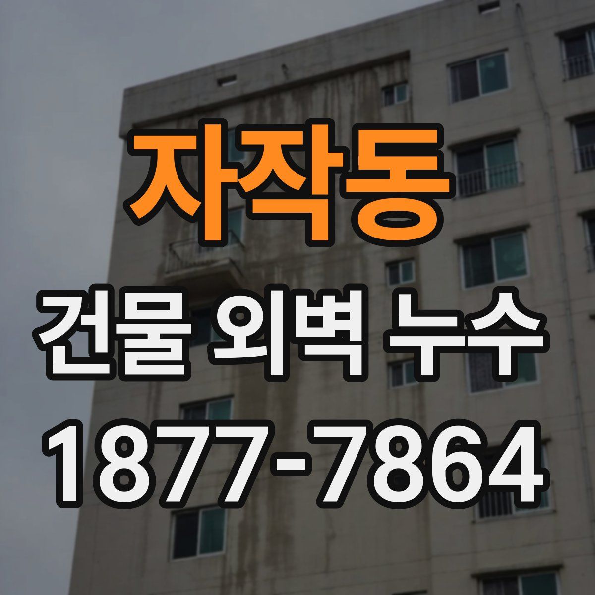자작동 건물 외벽 누수