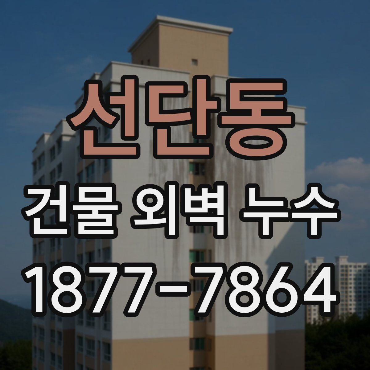 선단동 건물 외벽 누수 점검 일정은 어떻게 잡을까