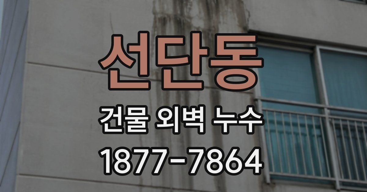 선단동 건물 외벽 누수