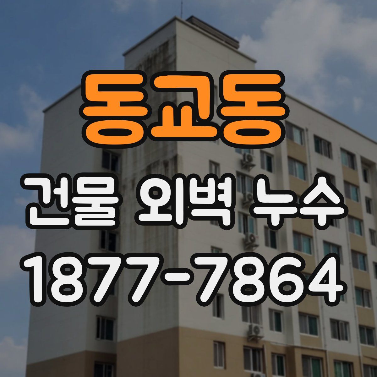 동교동 건물 외벽 누수