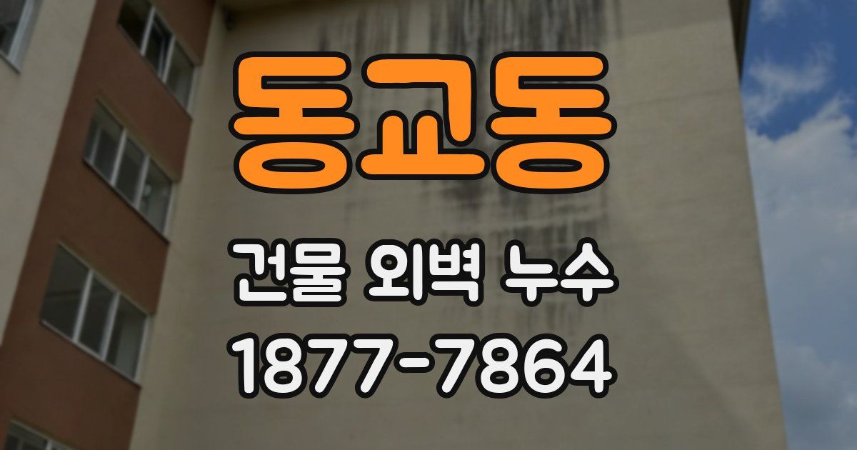 동교동 건물 외벽 누수