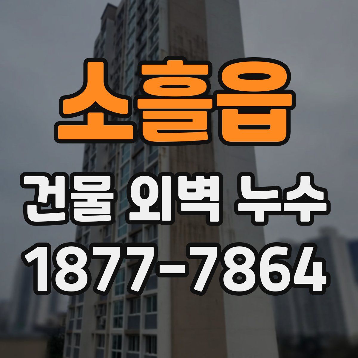 소흘읍 건물 외벽 누수