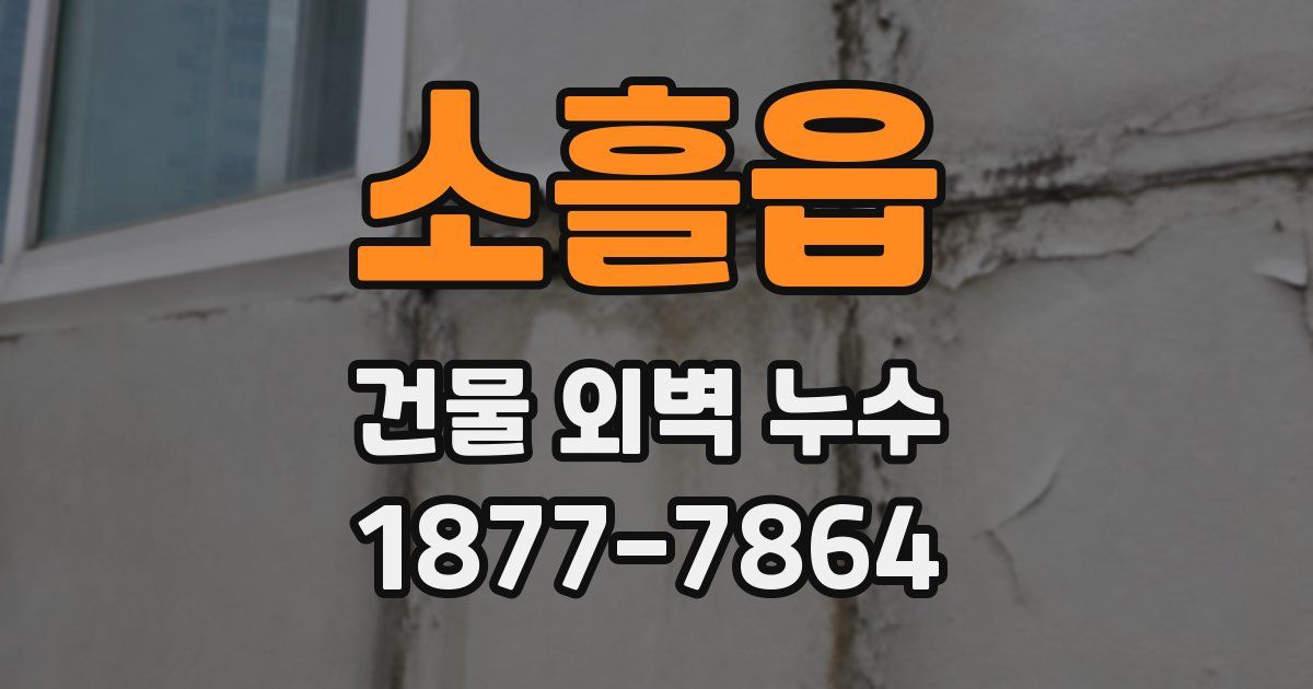 소흘읍 건물 외벽 누수