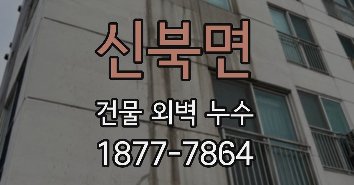 신북면 건물 외벽 누수