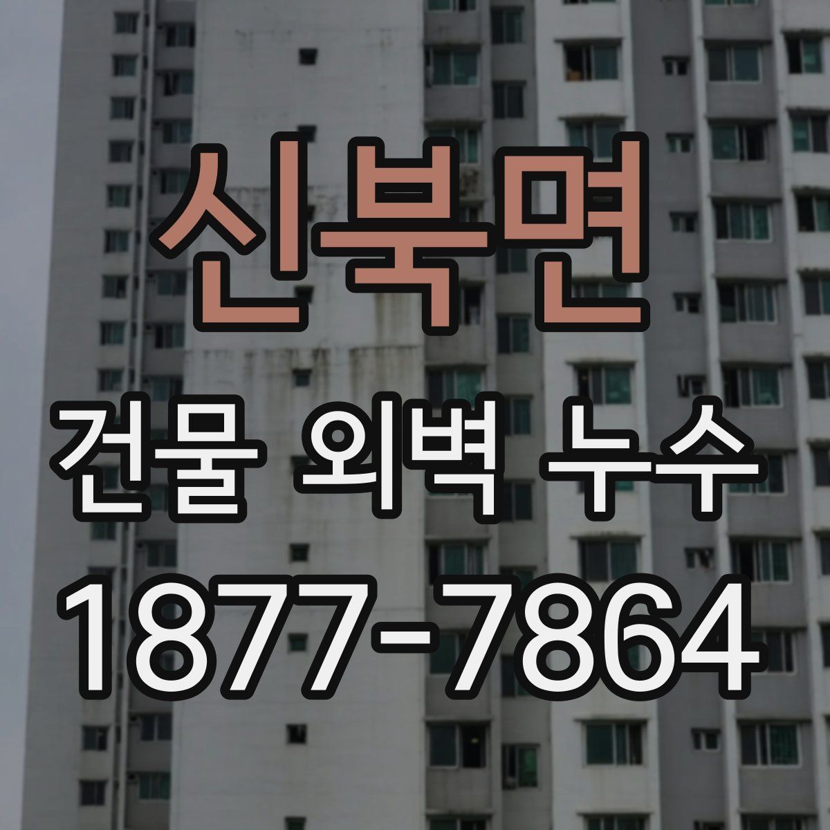 신북면 건물 외벽 누수