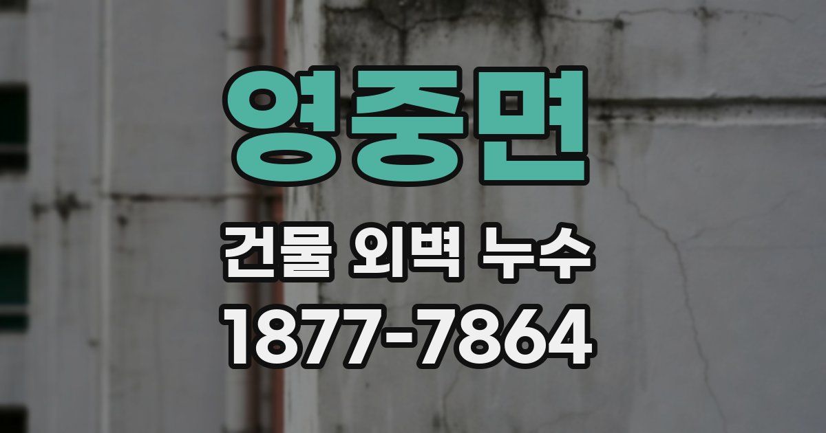 영중면 건물 외벽 누수