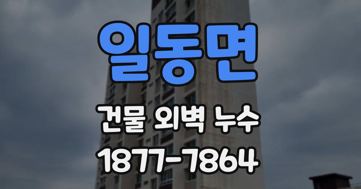 일동면 건물 외벽 누수