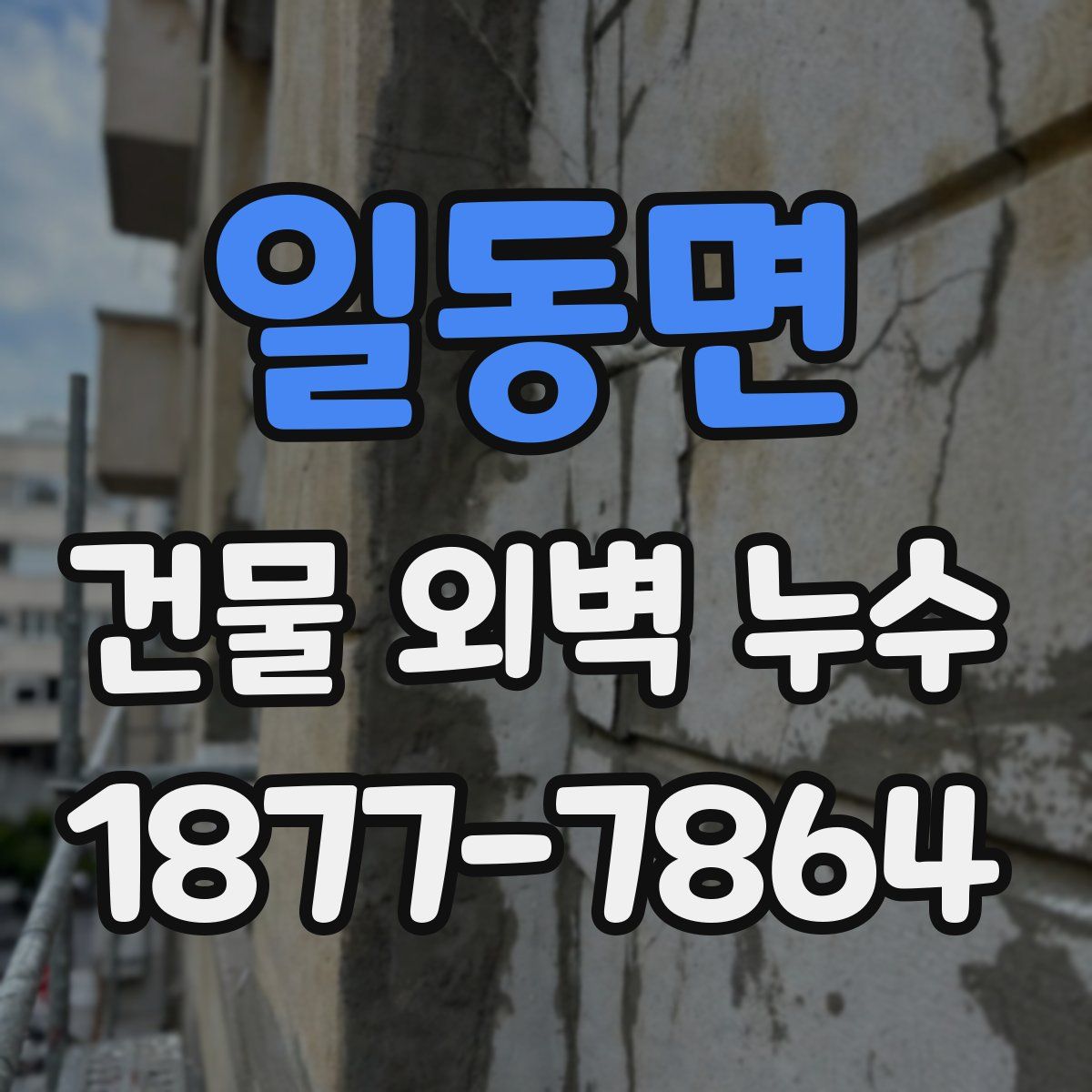 일동면 건물 외벽 누수