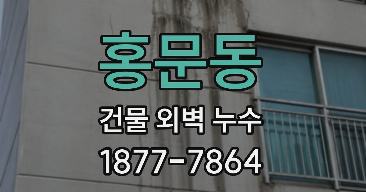 홍문동 건물 외벽 누수