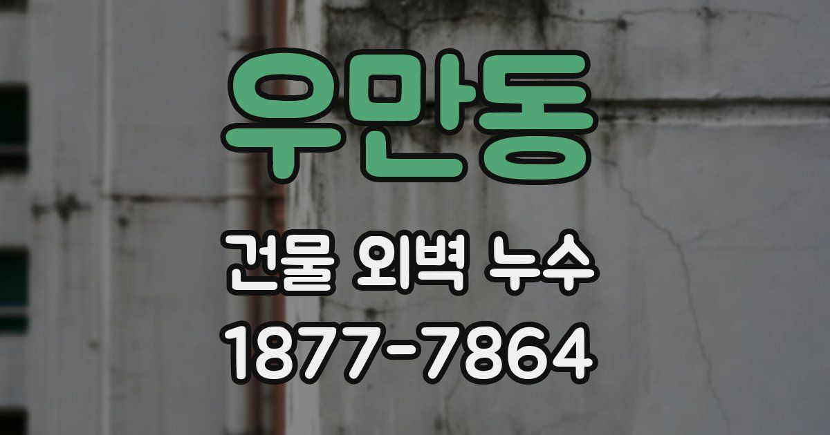 우만동 건물 외벽 누수