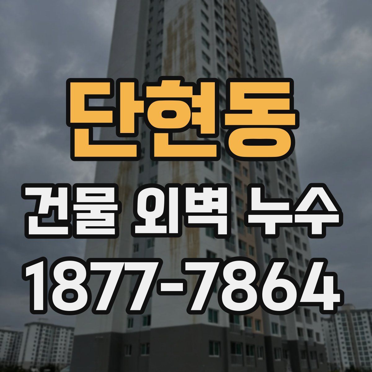 단현동 건물 외벽 누수