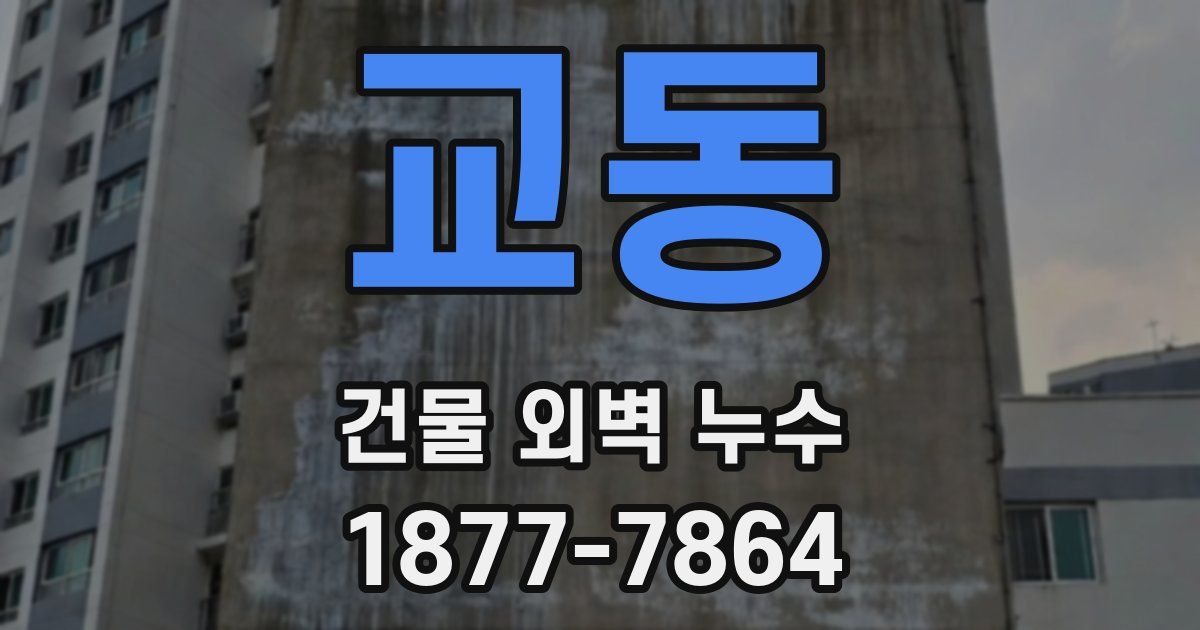 교동 건물 외벽 누수