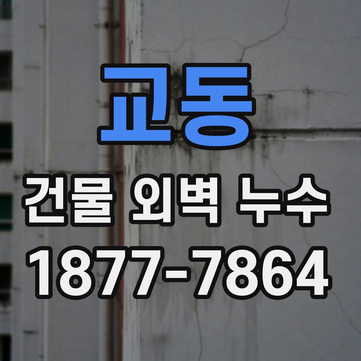 교동 건물 외벽 누수