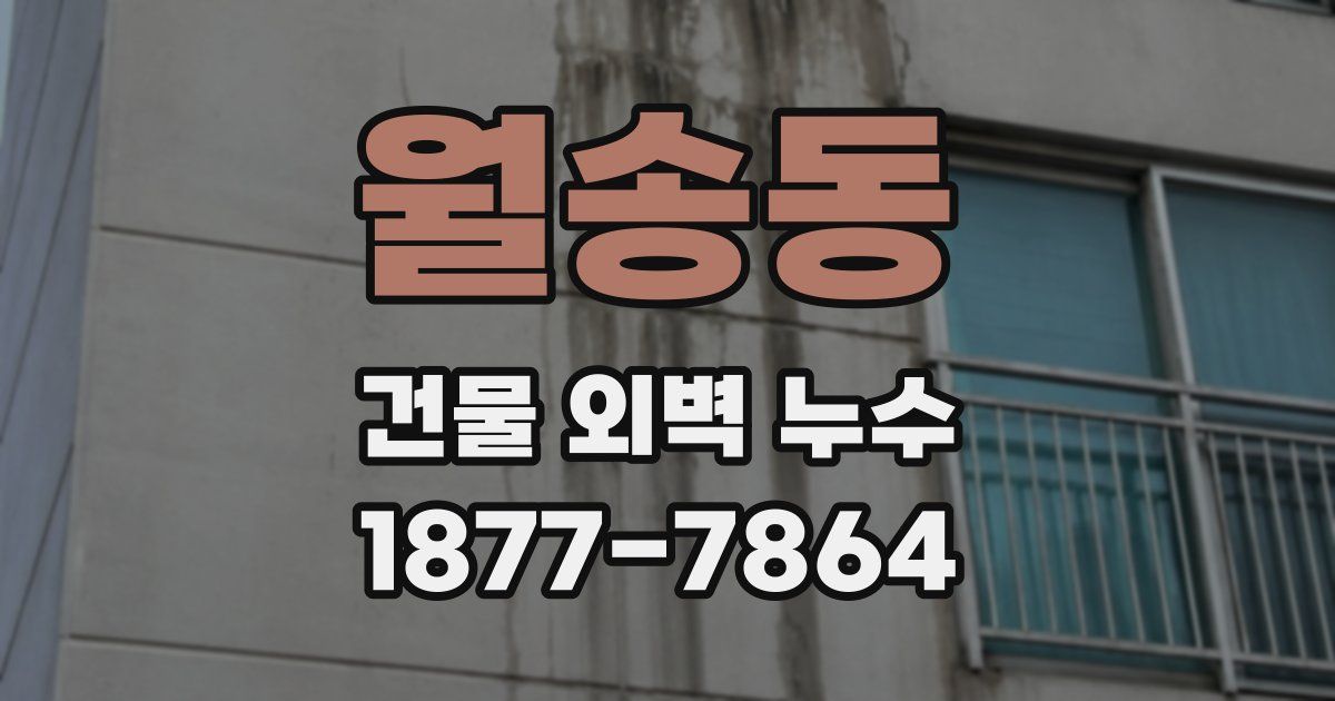 월송동 건물 외벽 누수