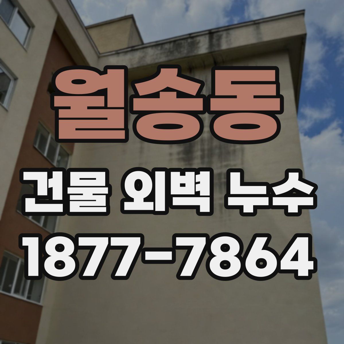 월송동 건물 외벽 누수
