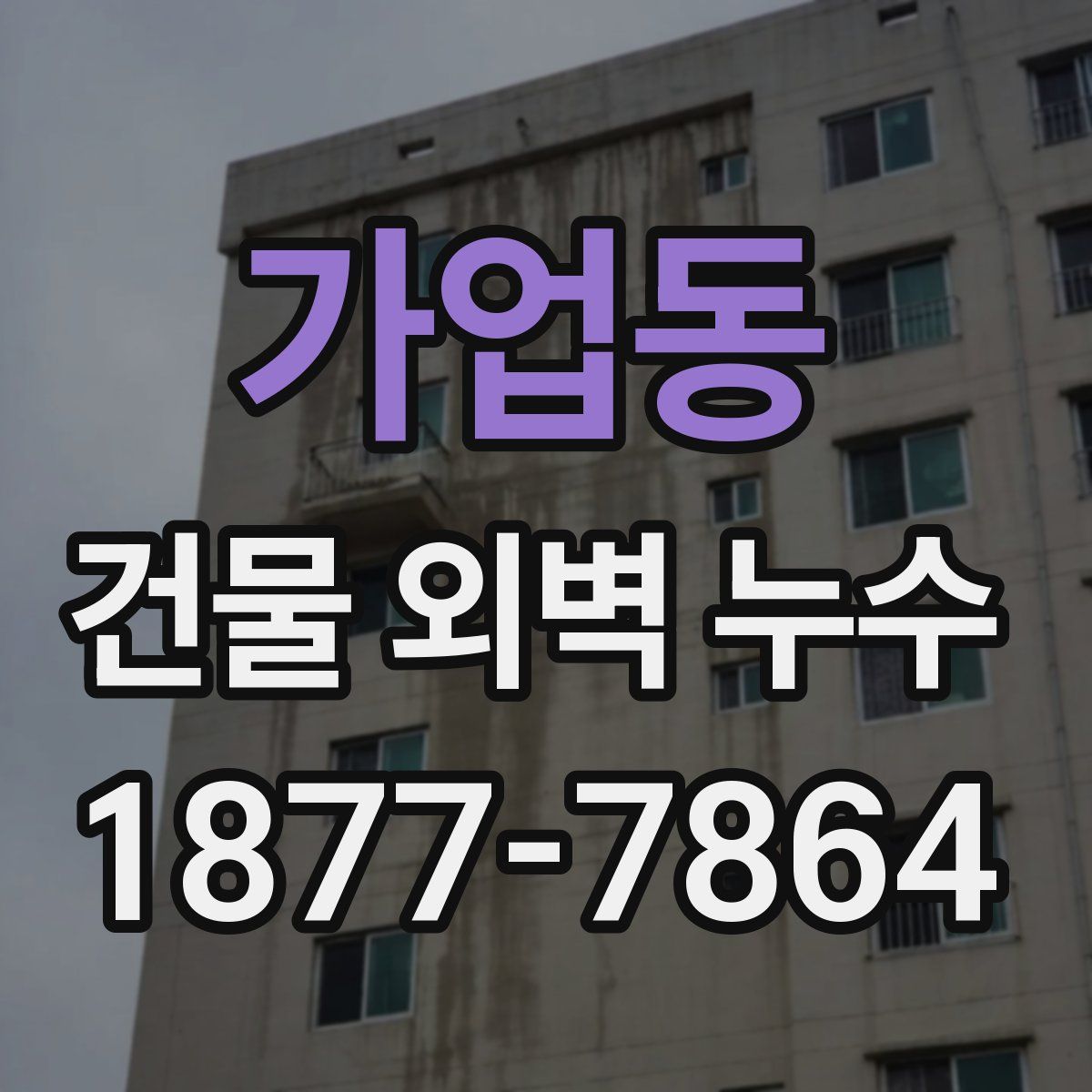 가업동 건물 외벽 누수