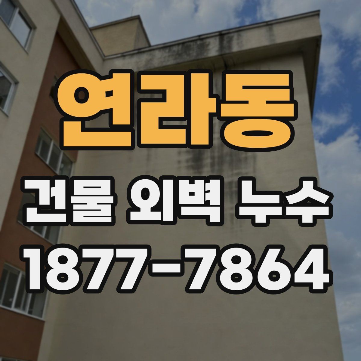 연라동 건물 외벽 누수 수리 전 체크리스트