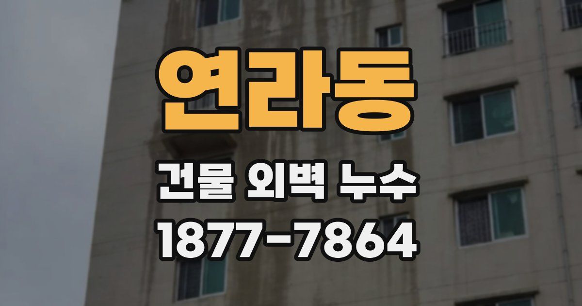 연라동 건물 외벽 누수