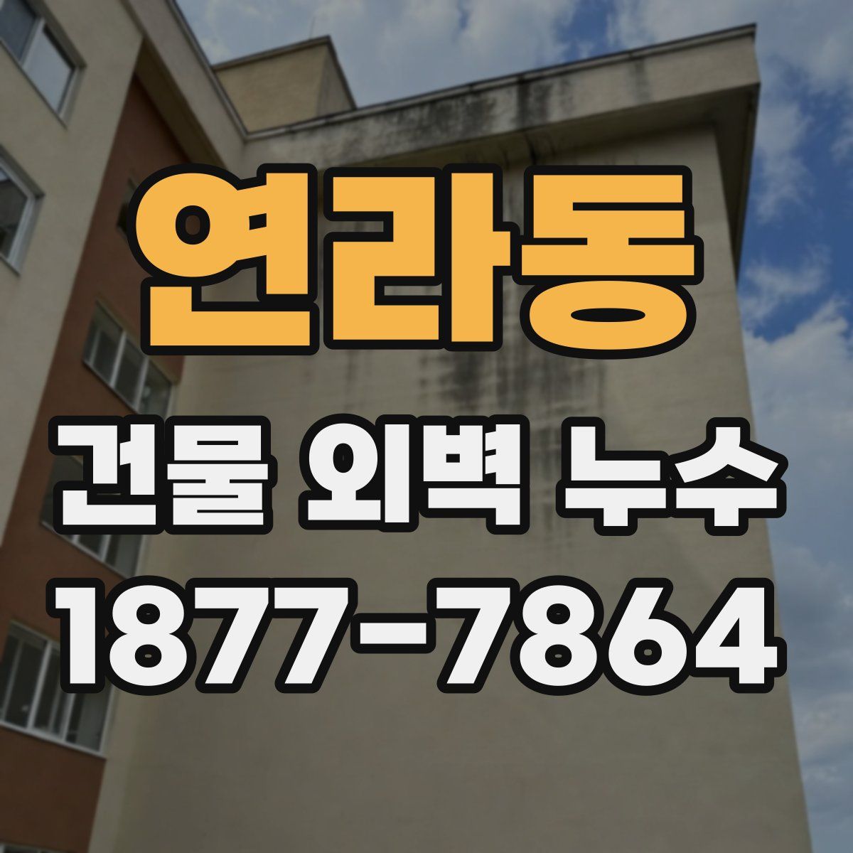 연라동 건물 외벽 누수