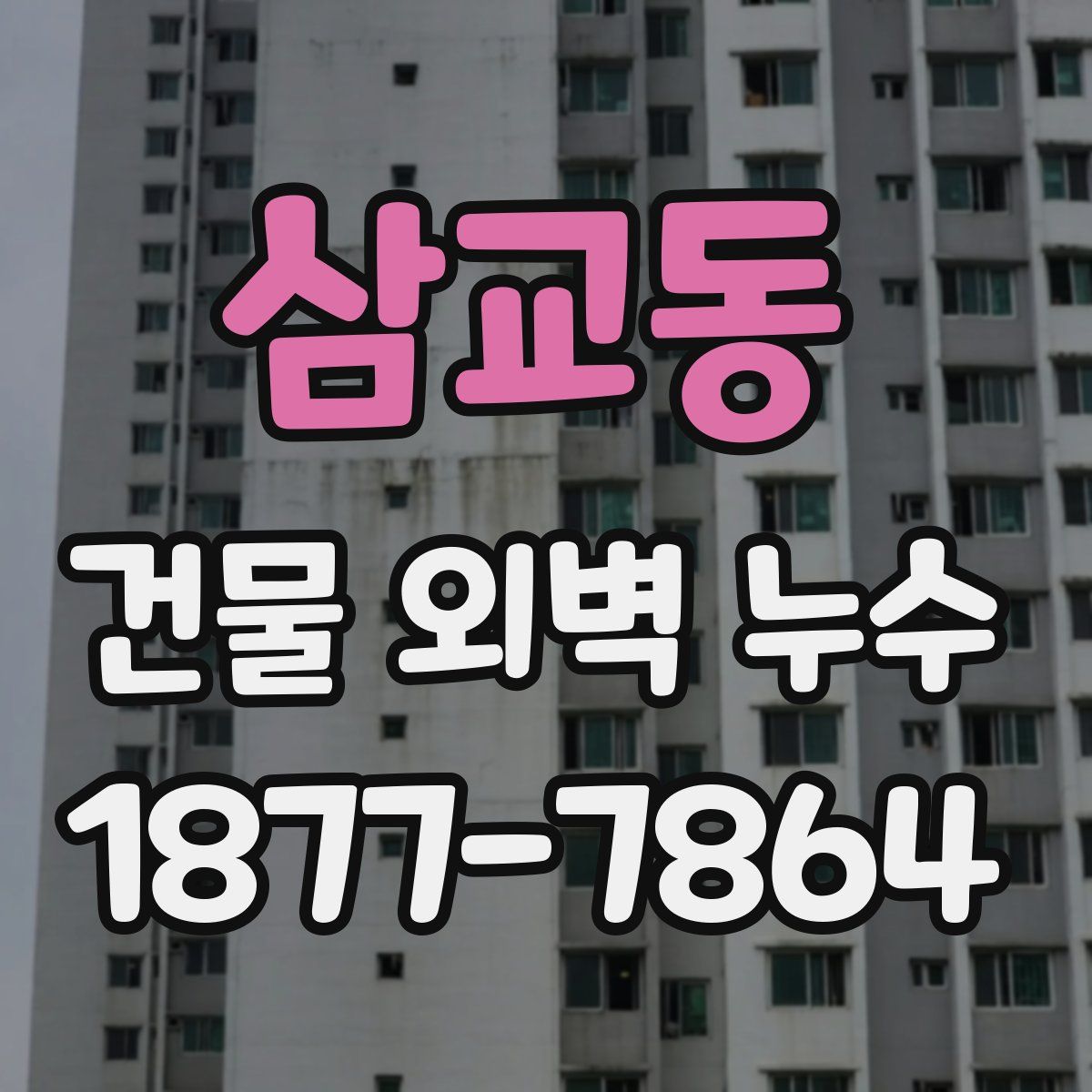 삼교동 건물 외벽 누수