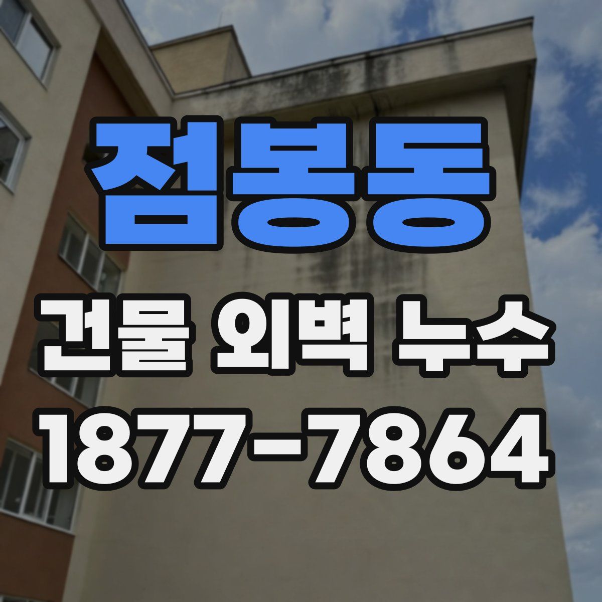 점봉동 건물 외벽 누수