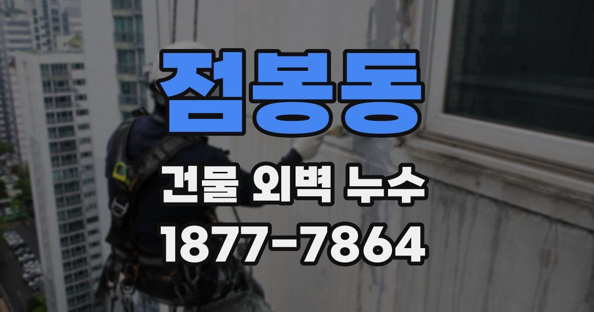 점봉동 건물 외벽 누수