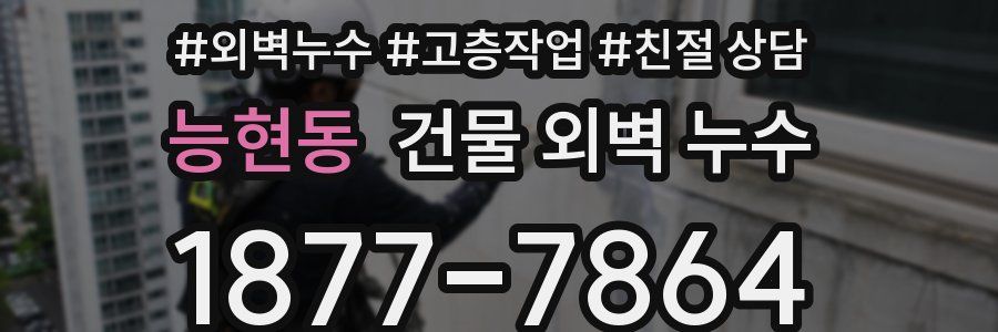 능현동 건물 외벽 누수