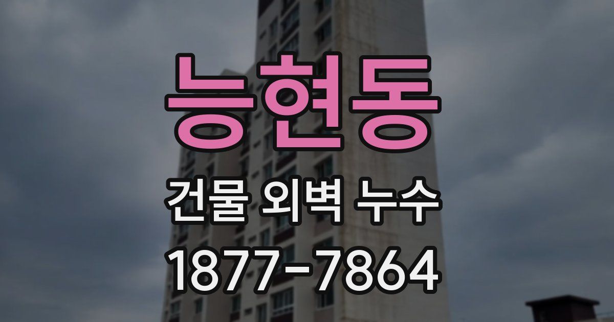 능현동 건물 외벽 누수
