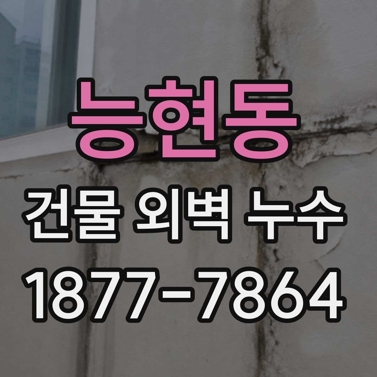 능현동 건물 외벽 누수