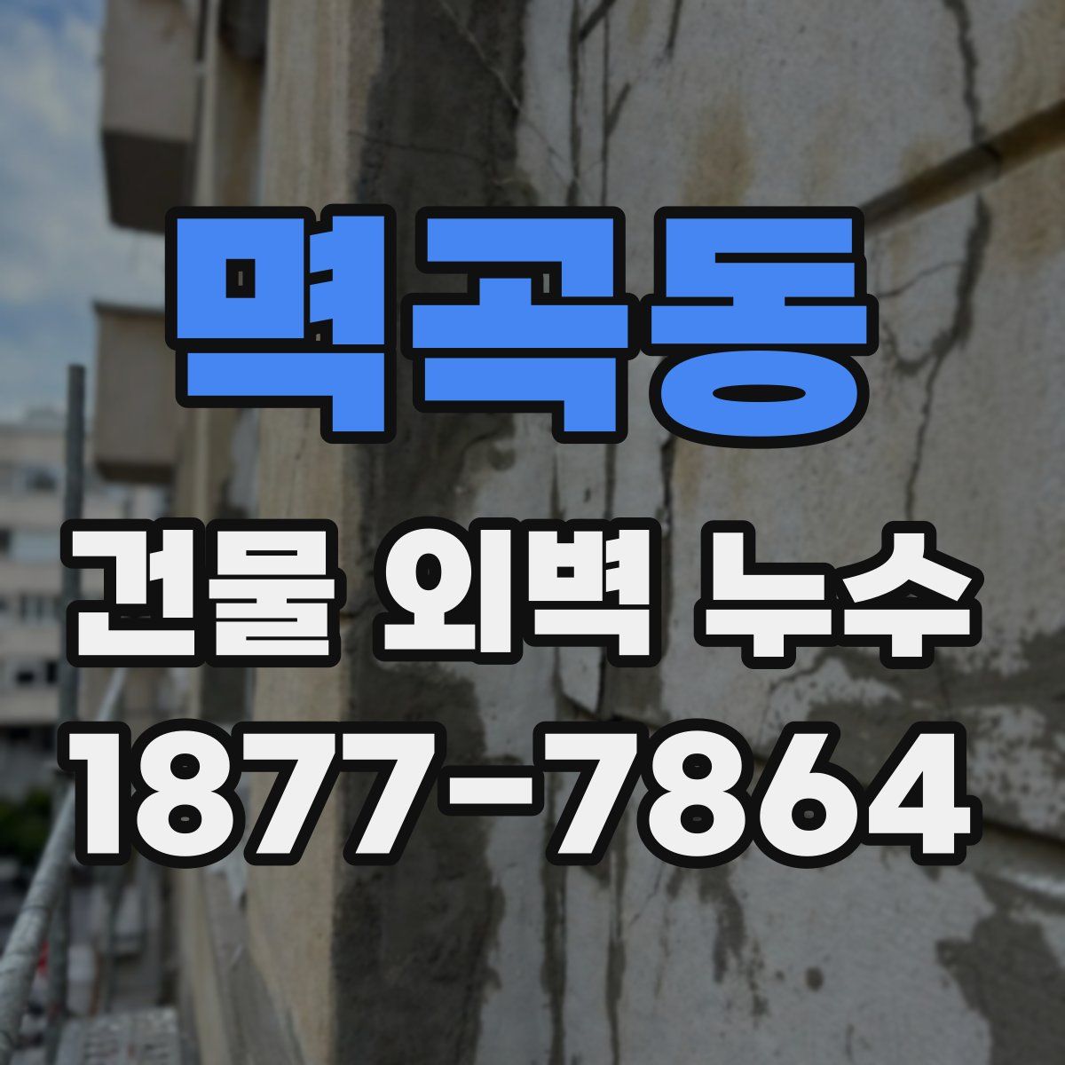 멱곡동 건물 외벽 누수