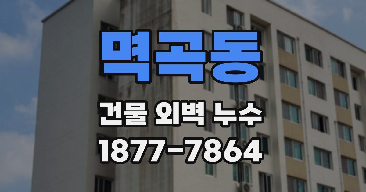 멱곡동 건물 외벽 누수