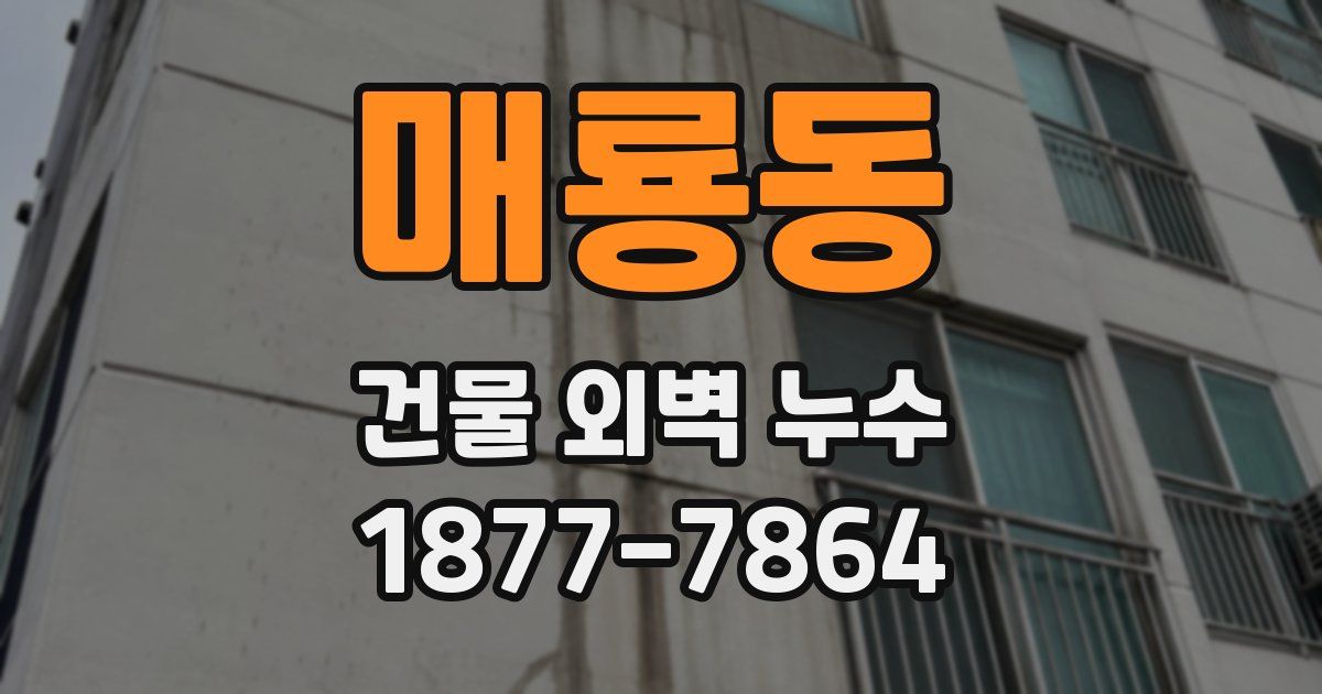 매룡동 건물 외벽 누수