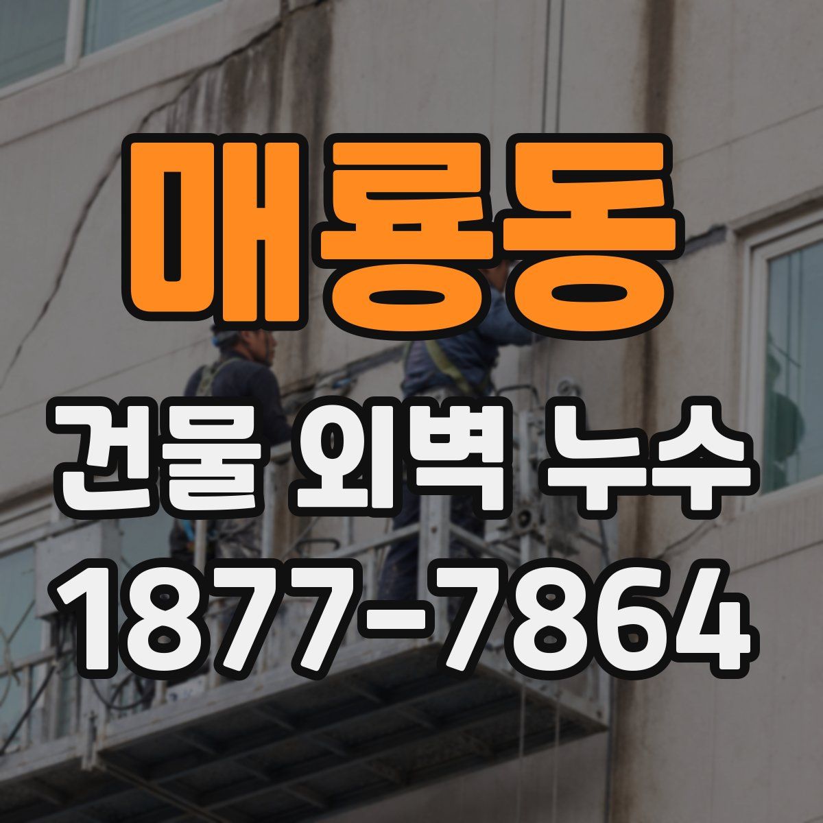 매룡동 건물 외벽 누수