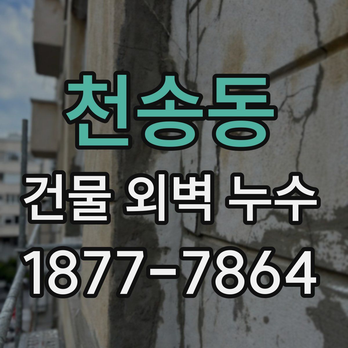 천송동 건물 외벽 누수