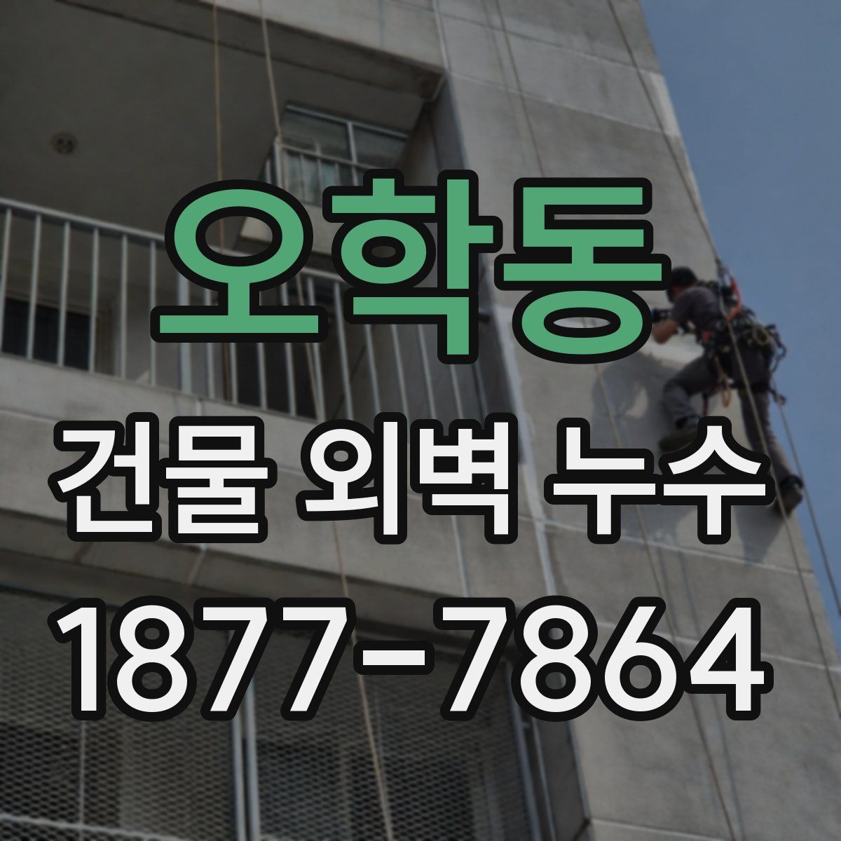 오학동 건물 외벽 누수